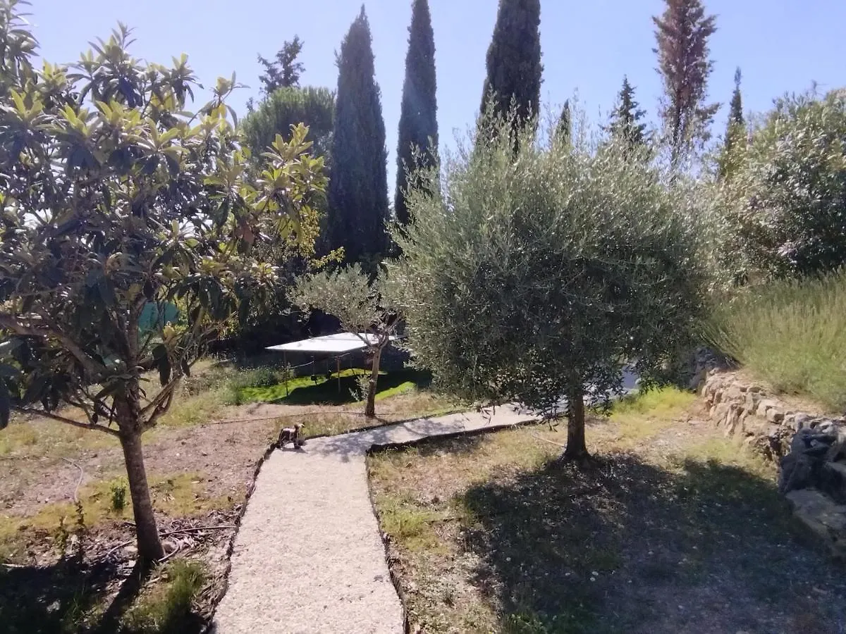 La Villa Des Six Ifs- L'Olivier Flayosc France